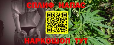 стаф Бугуруслан